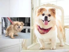 沒有誰，天生丑陋。