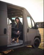 流浪貓私自闖上車被趕出，最后居然搭上順風車