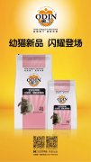 奧丁精品幼貓糧閃耀登場(chǎng)?。?！