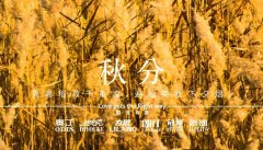 秋分丨晝夜分畫，漸入秋華