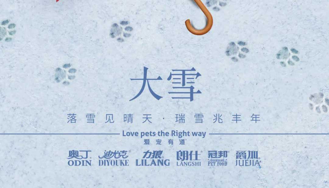 大雪丨雪落知寒意 久伴見初心！