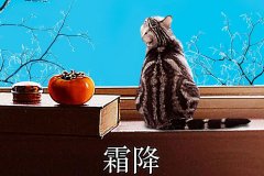 霜降丨縱然霜華盡染，心中美好如初