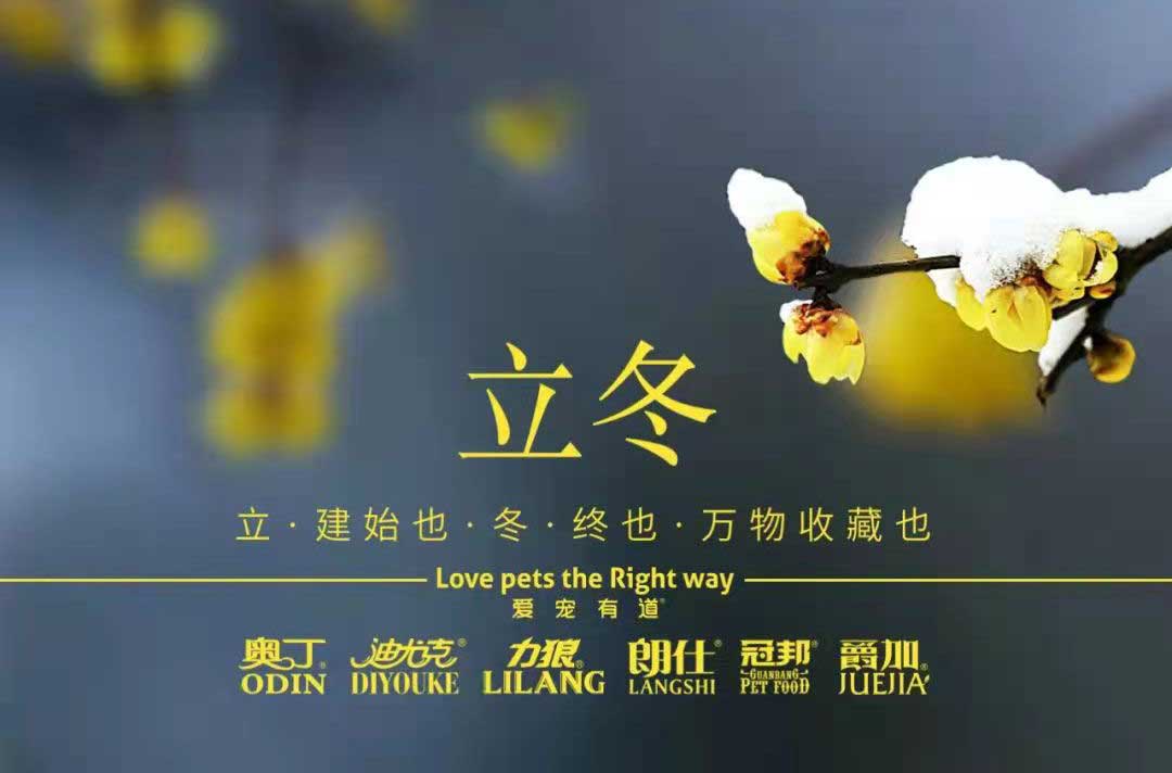 立冬丨冬寒初始，情暖愈濃