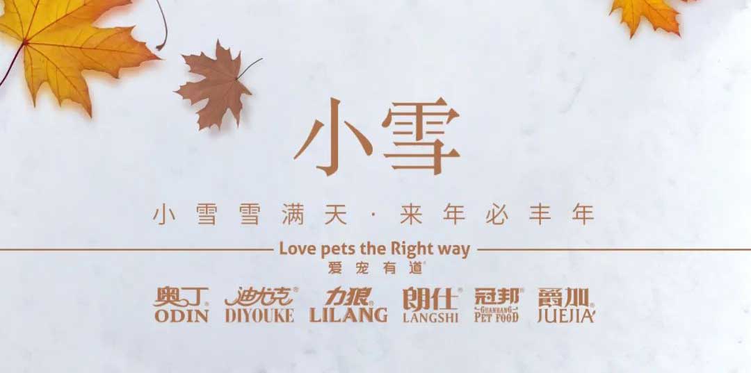 小雪丨天地初寒，歲月安暖